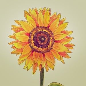 Meet your Posher, Rose_1